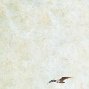 国模静静玉门极品美苞
