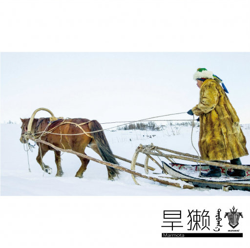 国模静静玉门极品美苞
